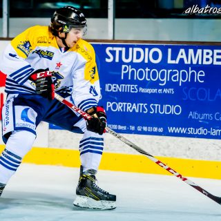 ALBATROS DE BREST VS LES CORSAIRES DE DUNKERQUE 03/11/18 - © Marion BESCOND