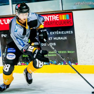 ALBATROS DE BREST VS LES CORSAIRES DE DUNKERQUE 03/11/18 - © Marion BESCOND