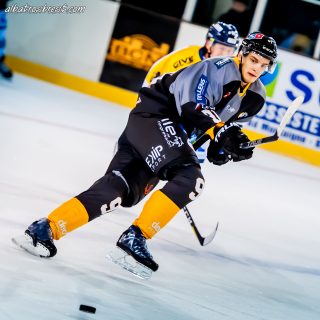 ALBATROS DE BREST VS LES CORSAIRES DE DUNKERQUE 03/11/18 - © Marion BESCOND