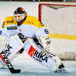 ALBATROS DE BREST VS LES CORSAIRES DE DUNKERQUE 03/11/18 - © Marion BESCOND