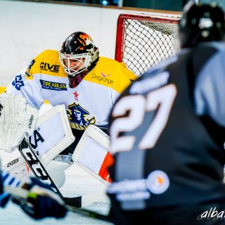 ALBATROS DE BREST VS LES CORSAIRES DE DUNKERQUE 03/11/18 - © Marion BESCOND
