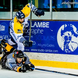ALBATROS DE BREST VS LES CORSAIRES DE DUNKERQUE 03/11/18 - © Marion BESCOND