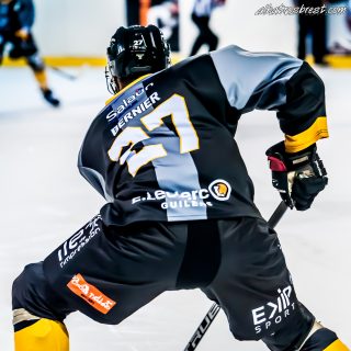 ALBATROS DE BREST VS LES CORSAIRES DE DUNKERQUE 03/11/18 - © Marion BESCOND