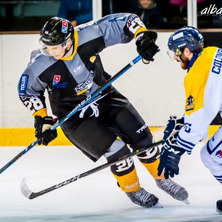 ALBATROS DE BREST VS LES CORSAIRES DE DUNKERQUE 03/11/18 - © Marion BESCOND
