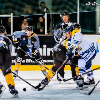 ALBATROS DE BREST VS LES CORSAIRES DE DUNKERQUE 03/11/18 - © Marion BESCOND