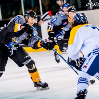 ALBATROS DE BREST VS LES CORSAIRES DE DUNKERQUE 03/11/18 - © Marion BESCOND