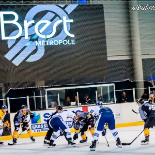 ALBATROS DE BREST VS LES CORSAIRES DE DUNKERQUE 03/11/18 - © Marion BESCOND