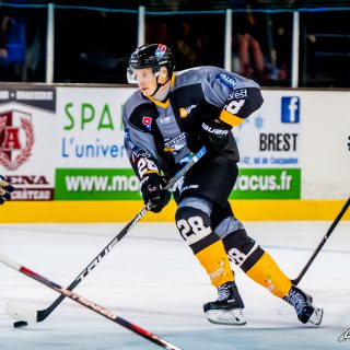 ALBATROS DE BREST VS LES CORSAIRES DE DUNKERQUE 03/11/18 - © Marion BESCOND