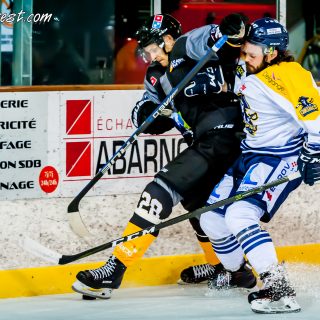ALBATROS DE BREST VS LES CORSAIRES DE DUNKERQUE 03/11/18 - © Marion BESCOND