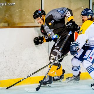 ALBATROS DE BREST VS LES CORSAIRES DE DUNKERQUE 03/11/18 - © Marion BESCOND