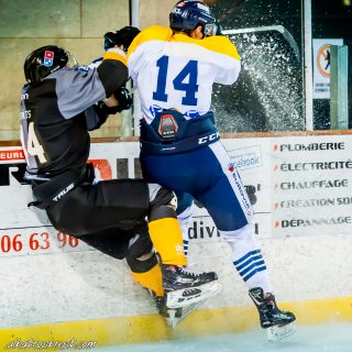 ALBATROS DE BREST VS LES CORSAIRES DE DUNKERQUE 03/11/18 - © Marion BESCOND