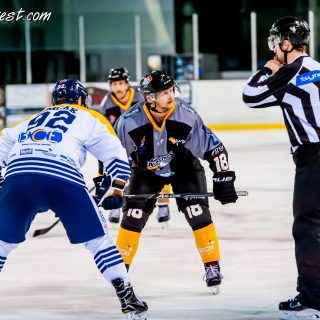 ALBATROS DE BREST VS LES CORSAIRES DE DUNKERQUE 03/11/18 - © Marion BESCOND