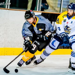 ALBATROS DE BREST VS LES CORSAIRES DE DUNKERQUE 03/11/18 - © Marion BESCOND