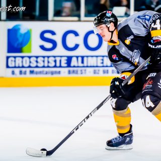 ALBATROS DE BREST VS LES CORSAIRES DE DUNKERQUE 03/11/18 - © Marion BESCOND