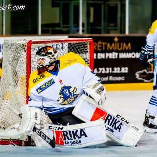 ALBATROS DE BREST VS LES CORSAIRES DE DUNKERQUE 03/11/18 - © Marion BESCOND