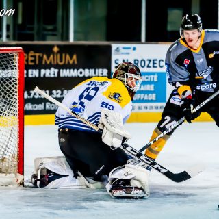 ALBATROS DE BREST VS LES CORSAIRES DE DUNKERQUE 03/11/18 - © Marion BESCOND