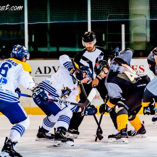 ALBATROS DE BREST VS LES CORSAIRES DE DUNKERQUE 03/11/18 - © Marion BESCOND
