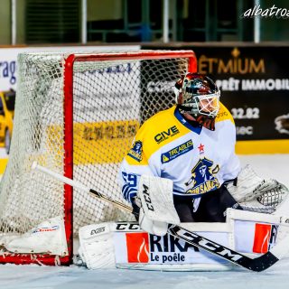ALBATROS DE BREST VS LES CORSAIRES DE DUNKERQUE 03/11/18 - © Marion BESCOND