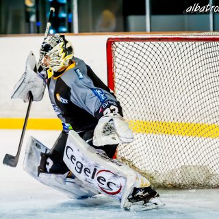 ALBATROS DE BREST VS LES CORSAIRES DE DUNKERQUE 03/11/18 - © Marion BESCOND
