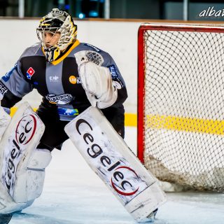 ALBATROS DE BREST VS LES CORSAIRES DE DUNKERQUE 03/11/18 - © Marion BESCOND