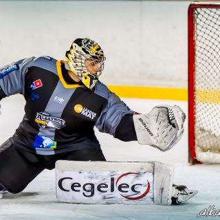 ALBATROS DE BREST VS LES CORSAIRES DE DUNKERQUE 03/11/18 - © Marion BESCOND
