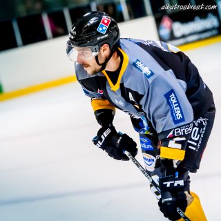 ALBATROS DE BREST VS LES CORSAIRES DE DUNKERQUE 03/11/18 - © Marion BESCOND