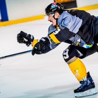 ALBATROS DE BREST VS LES CORSAIRES DE DUNKERQUE 03/11/18 - © Marion BESCOND