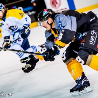 ALBATROS DE BREST VS LES CORSAIRES DE DUNKERQUE 03/11/18 - © Marion BESCOND
