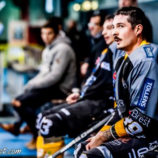 ALBATROS DE BREST VS LES CORSAIRES DE DUNKERQUE 03/11/18 - © Marion BESCOND
