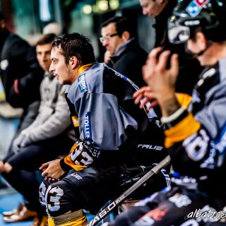 ALBATROS DE BREST VS LES CORSAIRES DE DUNKERQUE 03/11/18 - © Marion BESCOND