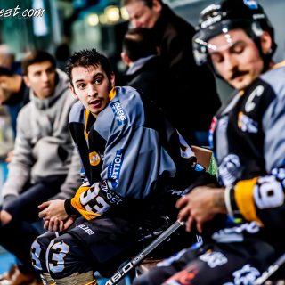 ALBATROS DE BREST VS LES CORSAIRES DE DUNKERQUE 03/11/18 - © Marion BESCOND