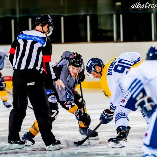 ALBATROS DE BREST VS LES CORSAIRES DE DUNKERQUE 03/11/18 - © Marion BESCOND