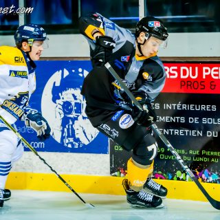 ALBATROS DE BREST VS LES CORSAIRES DE DUNKERQUE 03/11/18 - © Marion BESCOND