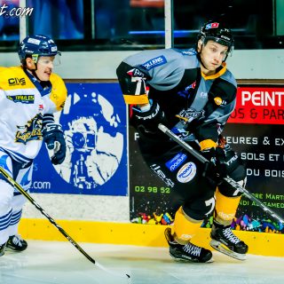 ALBATROS DE BREST VS LES CORSAIRES DE DUNKERQUE 03/11/18 - © Marion BESCOND