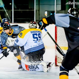 ALBATROS DE BREST VS LES CORSAIRES DE DUNKERQUE 03/11/18 - © Marion BESCOND