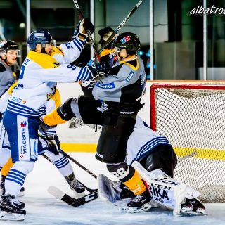 ALBATROS DE BREST VS LES CORSAIRES DE DUNKERQUE 03/11/18 - © Marion BESCOND