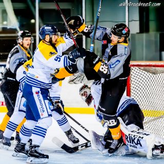 ALBATROS DE BREST VS LES CORSAIRES DE DUNKERQUE 03/11/18 - © Marion BESCOND