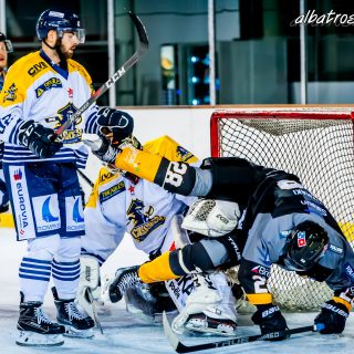 ALBATROS DE BREST VS LES CORSAIRES DE DUNKERQUE 03/11/18 - © Marion BESCOND