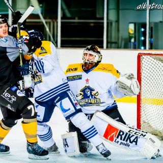 ALBATROS DE BREST VS LES CORSAIRES DE DUNKERQUE 03/11/18 - © Marion BESCOND