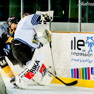 ALBATROS DE BREST VS LES CORSAIRES DE DUNKERQUE 03/11/18 - © Marion BESCOND