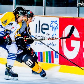 ALBATROS DE BREST VS LES CORSAIRES DE DUNKERQUE 03/11/18 - © Marion BESCOND