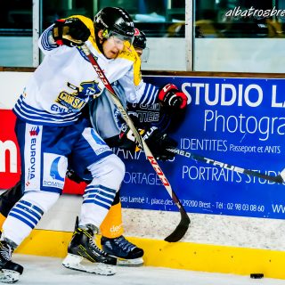 ALBATROS DE BREST VS LES CORSAIRES DE DUNKERQUE 03/11/18 - © Marion BESCOND
