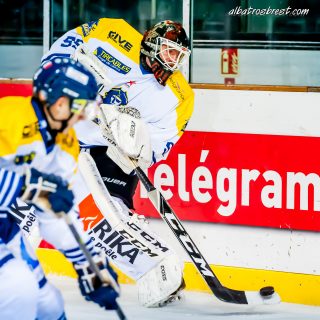 ALBATROS DE BREST VS LES CORSAIRES DE DUNKERQUE 03/11/18 - © Marion BESCOND