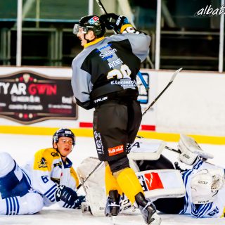 ALBATROS DE BREST VS LES CORSAIRES DE DUNKERQUE 03/11/18 - © Marion BESCOND