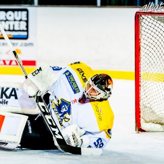 ALBATROS DE BREST VS LES CORSAIRES DE DUNKERQUE 03/11/18 - © Marion BESCOND