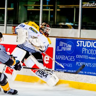 ALBATROS DE BREST VS LES CORSAIRES DE DUNKERQUE 03/11/18 - © Marion BESCOND