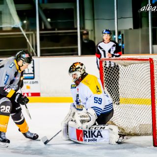 ALBATROS DE BREST VS LES CORSAIRES DE DUNKERQUE 03/11/18 - © Marion BESCOND