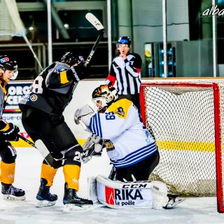 ALBATROS DE BREST VS LES CORSAIRES DE DUNKERQUE 03/11/18 - © Marion BESCOND