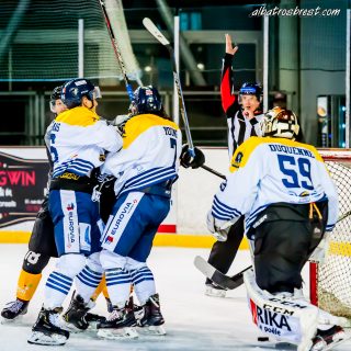 ALBATROS DE BREST VS LES CORSAIRES DE DUNKERQUE 03/11/18 - © Marion BESCOND