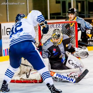 ALBATROS DE BREST VS LES CORSAIRES DE DUNKERQUE 03/11/18 - © Marion BESCOND